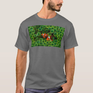 Camiseta dos peces payasos