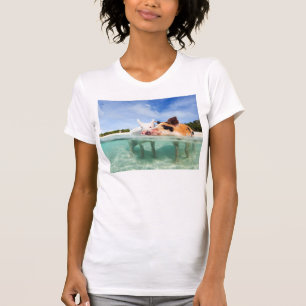 Camiseta Dos pequeños lechones