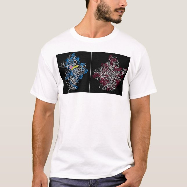 Camiseta dos subunidades ribosomal con trna y los pedazos (Anverso)