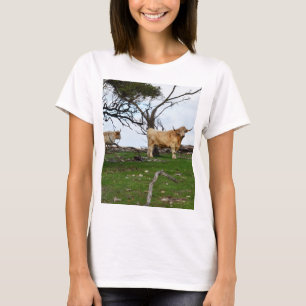 Camiseta Dos vacas de altiplano en tierras rurales pacífica
