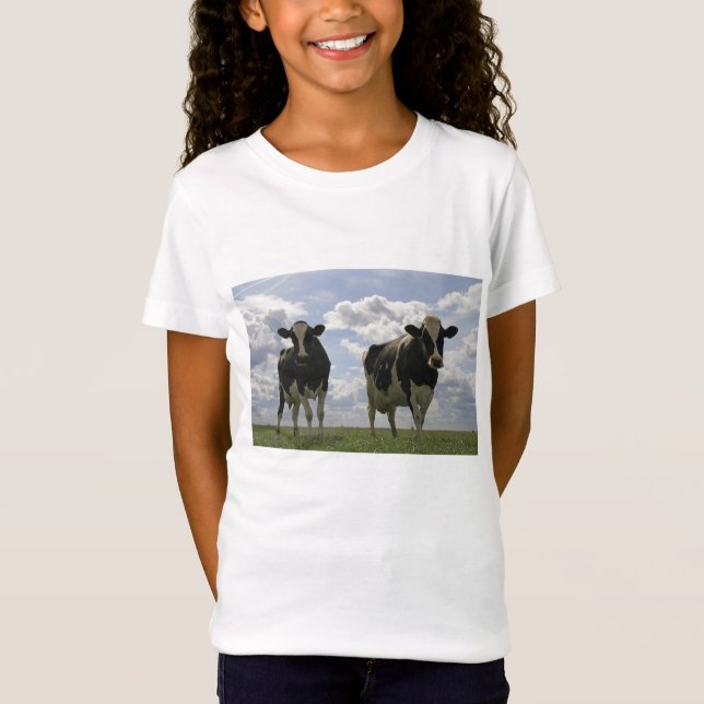 Camiseta Dos vacas frisias (Anverso)