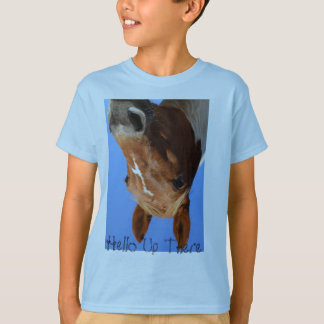 Camiseta DPP_1072, Hola Allá