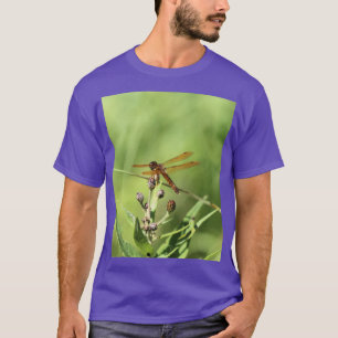 Camiseta Dragón