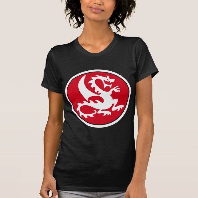 Camiseta dragon (Anverso)