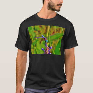Camiseta Dragón arcoiris verde azulado
