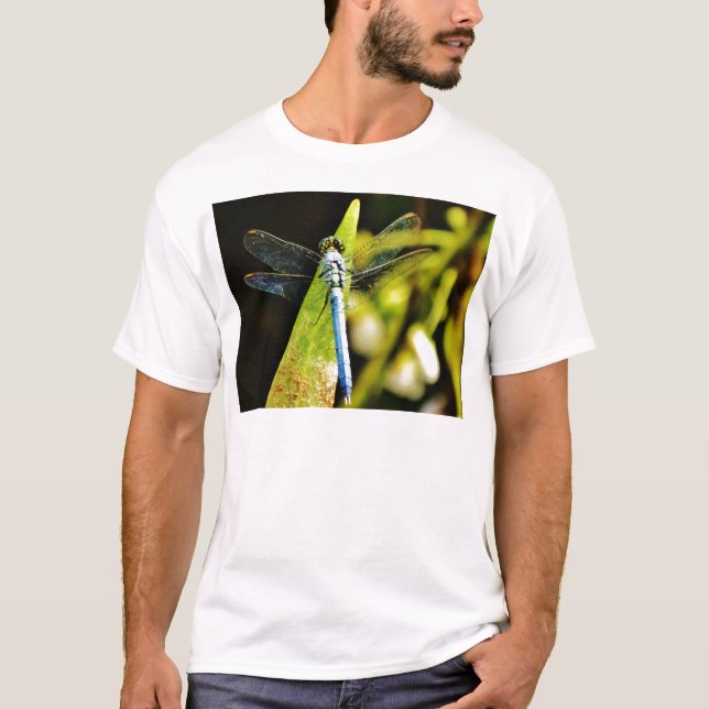 Camiseta Dragón azul claro (Anverso)