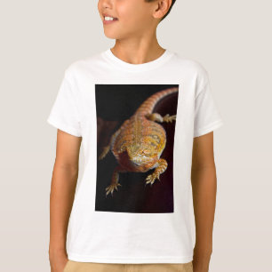 Camiseta Dragón barbudo