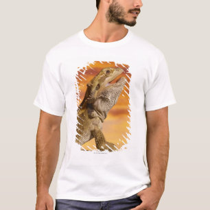 Camiseta Dragón barbudo (Pogona Vitticeps) en roca,