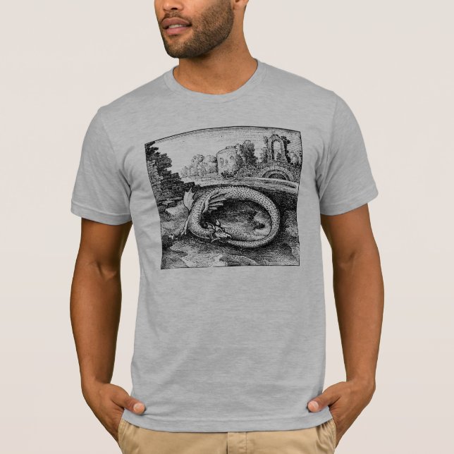 Camiseta Dragon Biting es Tail Tee Shirt (Anverso)