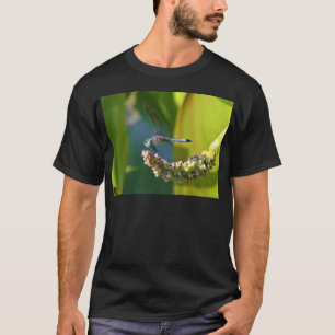 Camiseta Dragón de ojos verde azulados