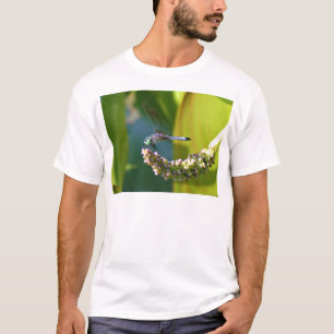 Camiseta Dragón de ojos verde azulados