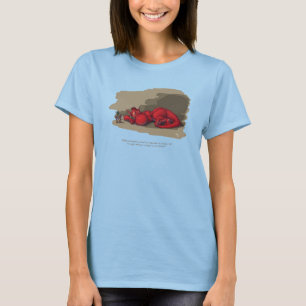 Camiseta Dragón el dormir
