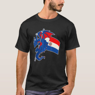 Camiseta Dragón Épico Con Bandera De Paraguay Paraguayo