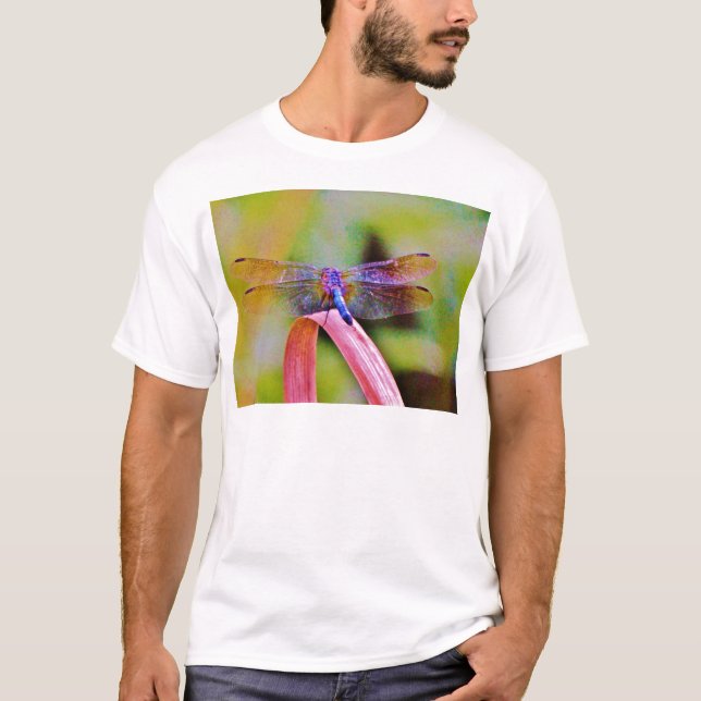 Camiseta Dragón rosa arcoiris brillante (Anverso)