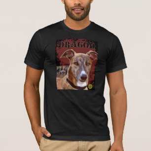 Camiseta Dragón T
