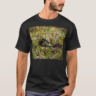 Camiseta Dragonflies