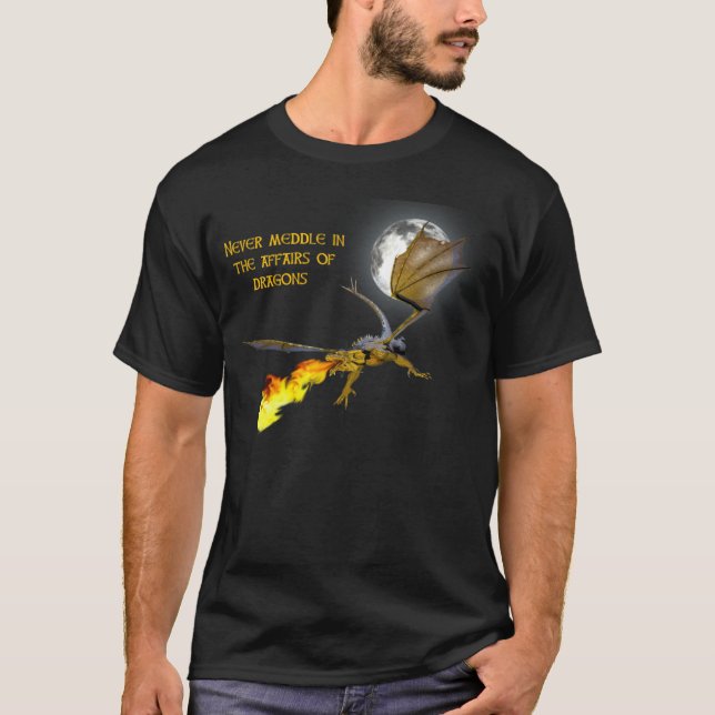 Camiseta dragonflight (Anverso)