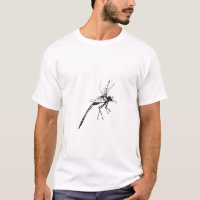 Dragonfly AA