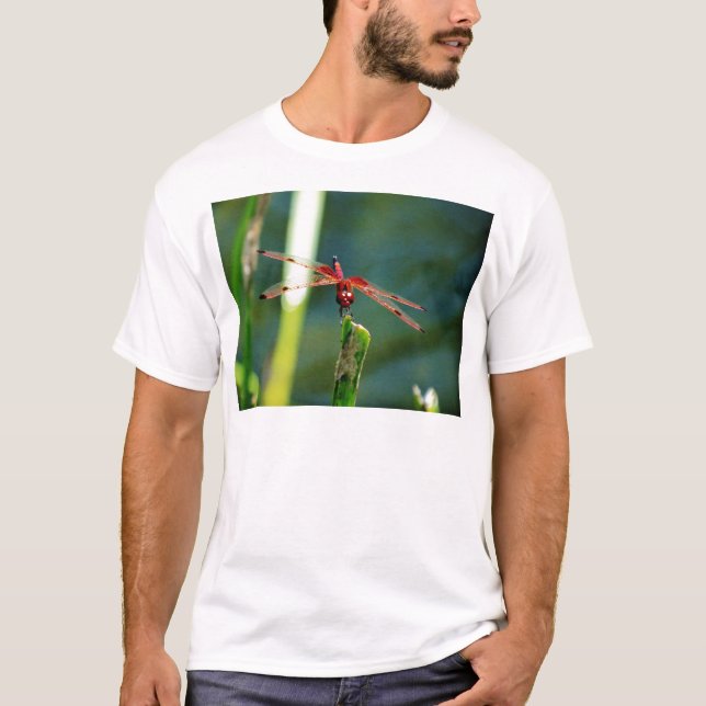 Camiseta Dragonfly Frontal Rojo y Negro (Anverso)