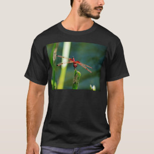 Camiseta Dragonfly Frontal Rojo y Negro