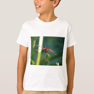 Camiseta Dragonfly Frontal Rojo y Negro