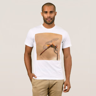 Camiseta Dragonfly pintado aislado contra Ecru