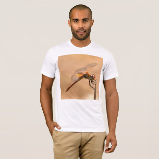 Camiseta Dragonfly pintado aislado contra Ecru