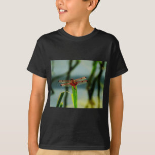 Camiseta Dragonfly rojo y negro visto