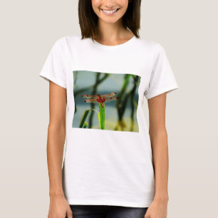 Camiseta Dragonfly rojo y negro visto