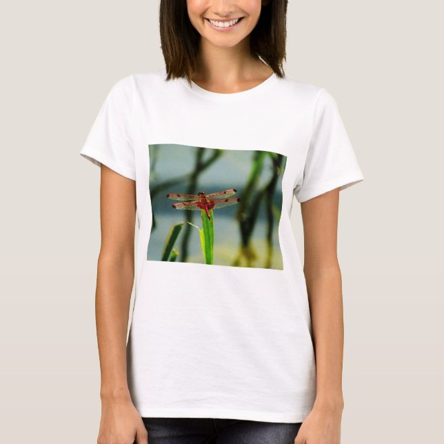 Camiseta Dragonfly rojo y negro visto (Anverso)