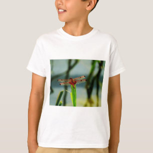Camiseta Dragonfly rojo y negro visto
