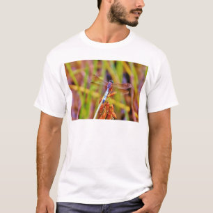 Camiseta Dragonfly verde azulado