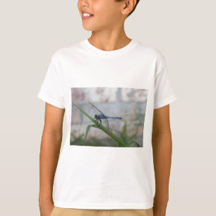 Camiseta Dragonismo azul