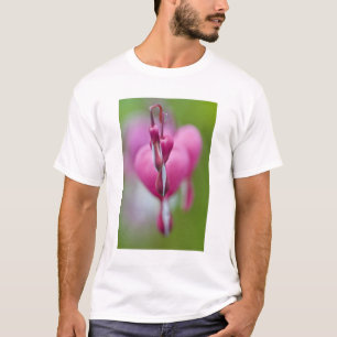 Camiseta Dramático color y forma de corazón sangrante