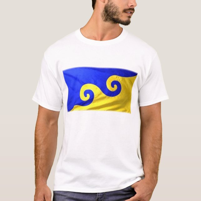 Camiseta Dreamflag (Anverso)