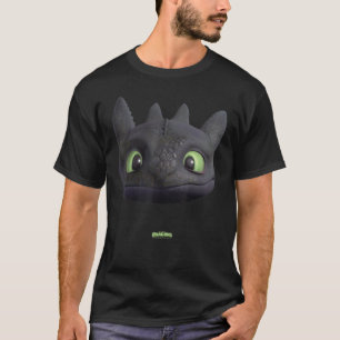 Camiseta DreamWorks Dragons Furia nocturna ineficaz Cara gr