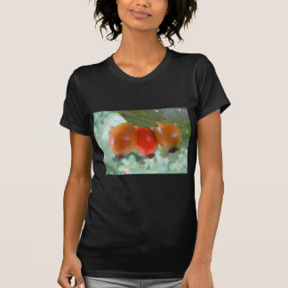 Camiseta Drei naranja Hagebutten