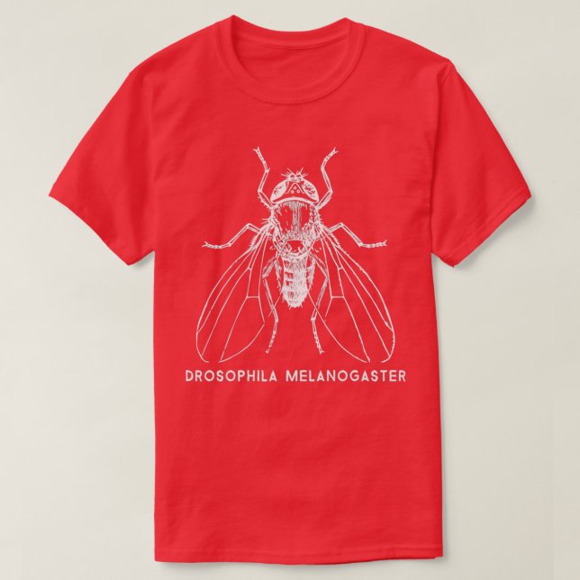 Camiseta Drosophila Melanogaster de la mosca de la fruta pa (Diseño del anverso)