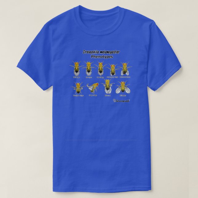 Camiseta Drosophila melanogaster Fenotipos (Diseño del anverso)