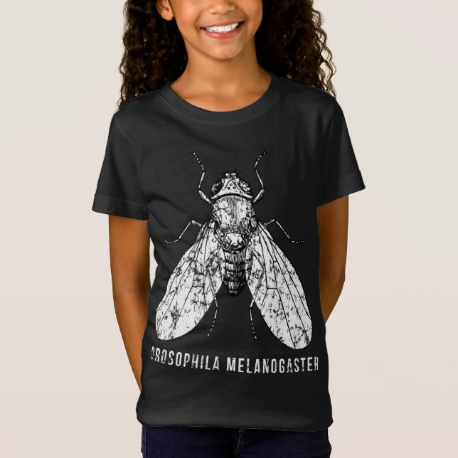 Camiseta Drosophila Melanogaster para científicos e investi (Anverso)