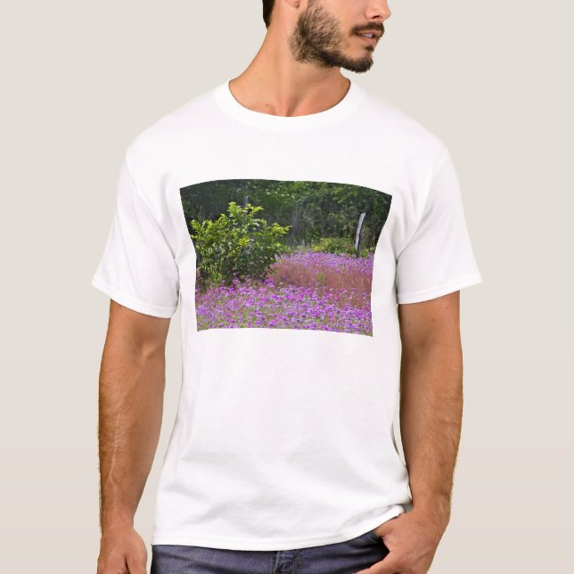 Camiseta Drummond Phlox, Phlox drummondi, jefe Hilton (Anverso)