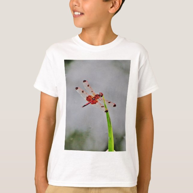 CAMISETA DSC00029.JPG (Anverso)