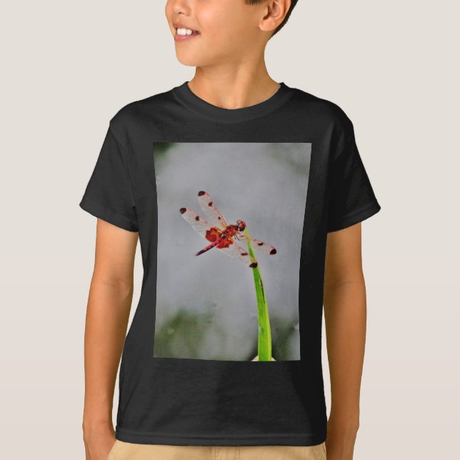 CAMISETA DSC00029.JPG (Anverso)