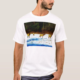 CAMISETA DSC00131.JPG