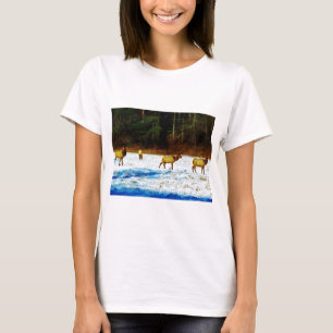 CAMISETA DSC00131.JPG