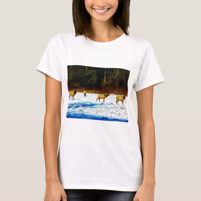 CAMISETA DSC00131.JPG (Anverso)