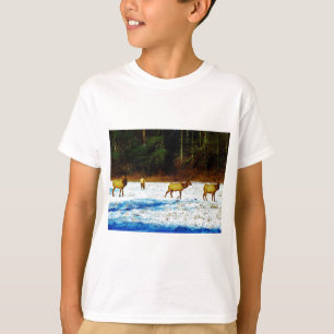 CAMISETA DSC00131.JPG