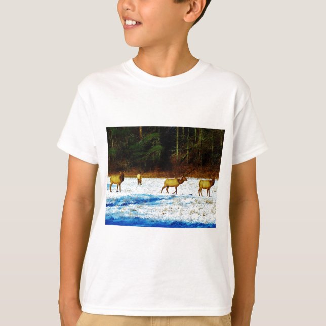 CAMISETA DSC00131.JPG (Anverso)