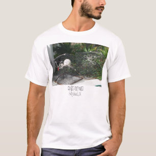 CAMISETA ¿DSC05220, CRITICA DESPIADADAMENTE CUALQUIER