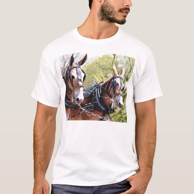 CAMISETA DSC_0637 (Anverso)